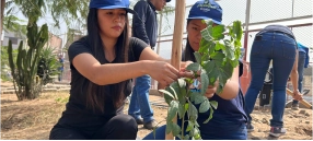 Desempeño Ambiental