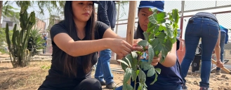 Desempeño Ambiental