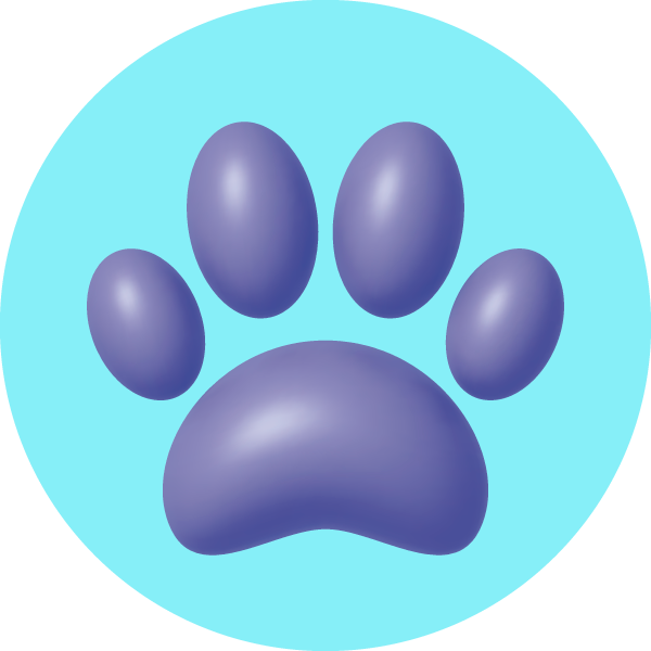ACTUALIZACION-ICONOS-4