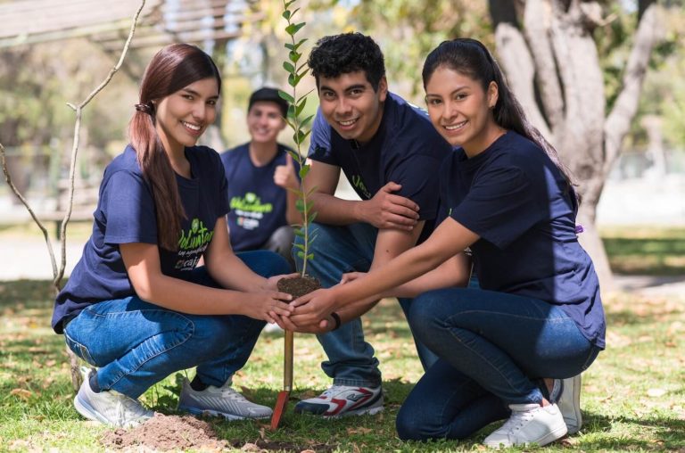 plantando (1)