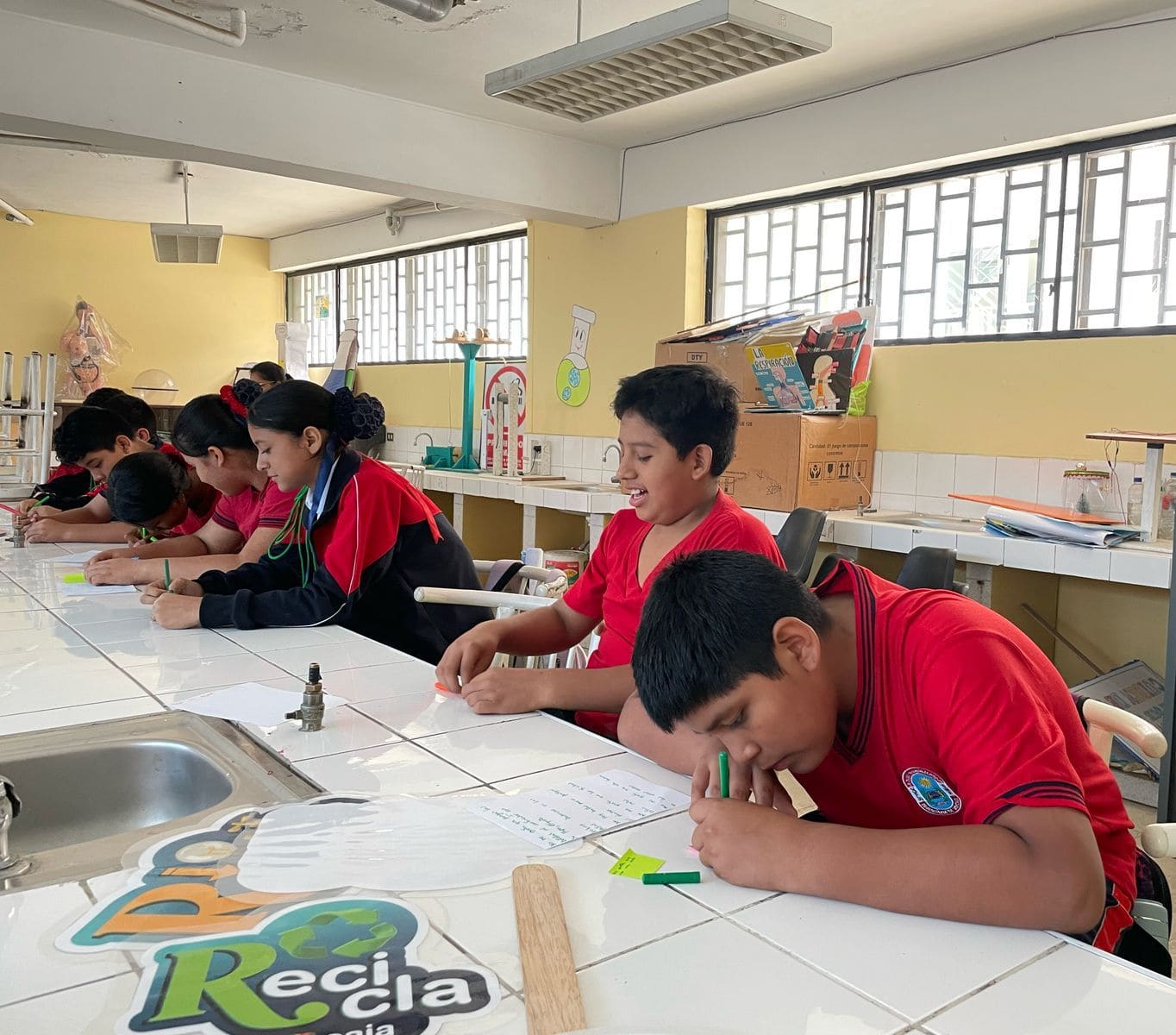 Educacíón ambiental 3