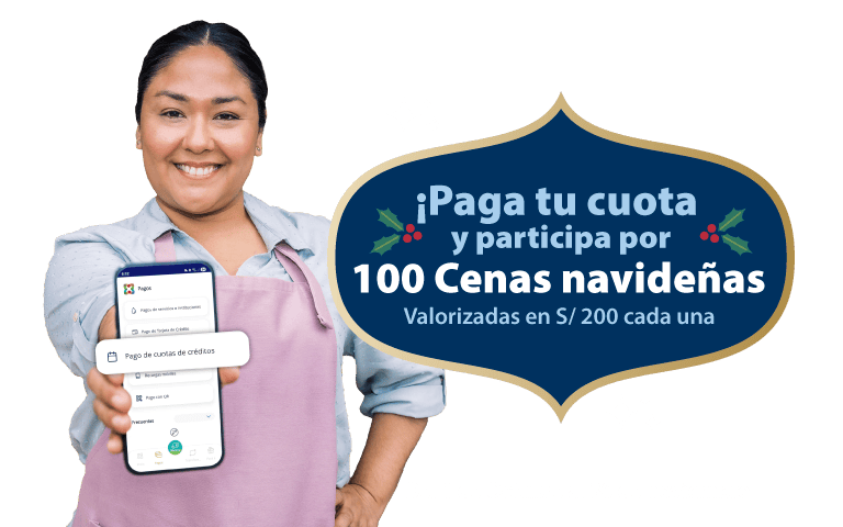 Banner-web-pago-puntual (1)