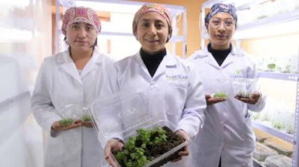 Innovador - Bianca Vigil - Foreslab - Cusco