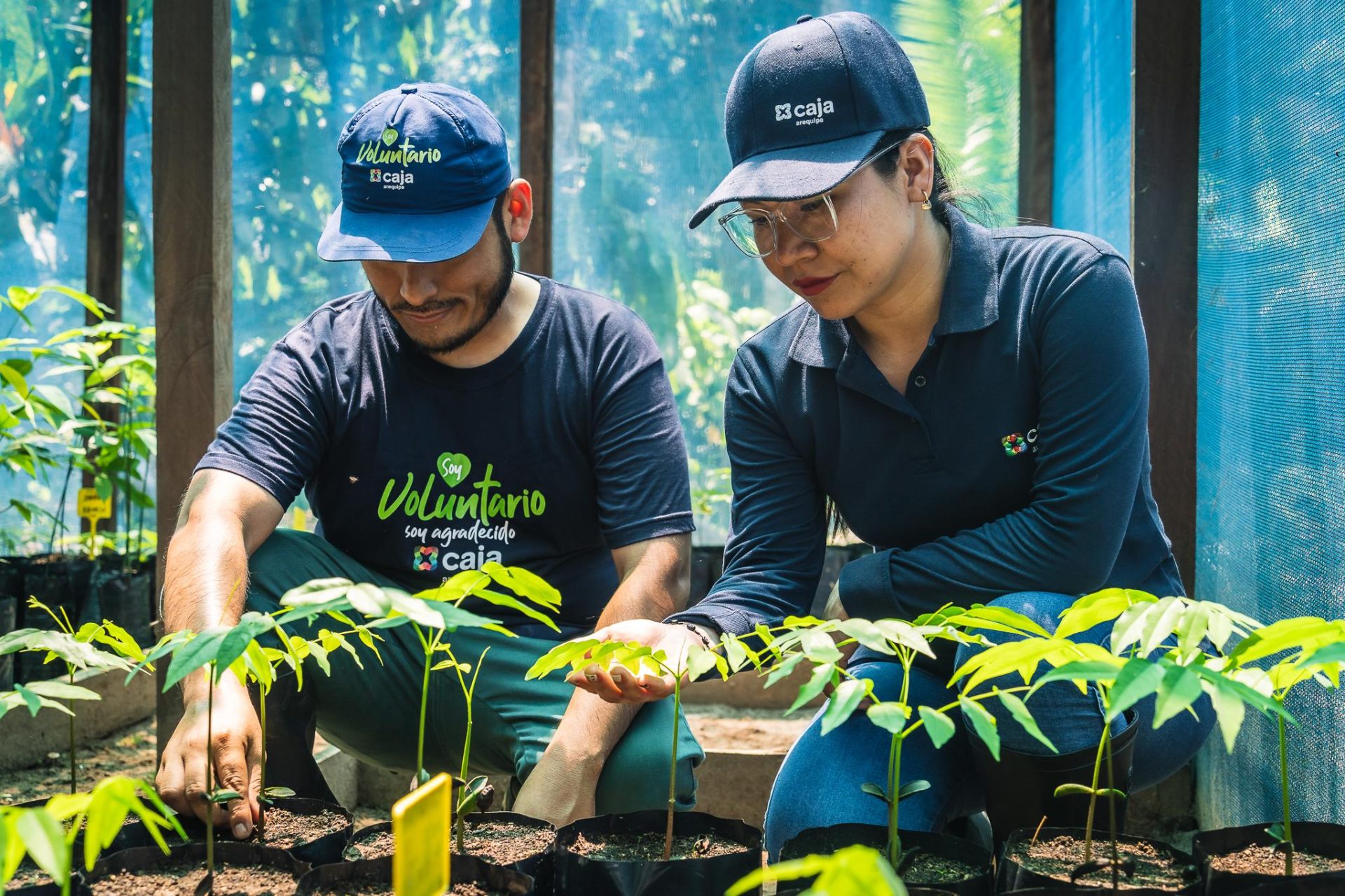 Caja Arequipa visitó las 39 hectáreas de bosque amazónico que protege junto a Arbio Perú